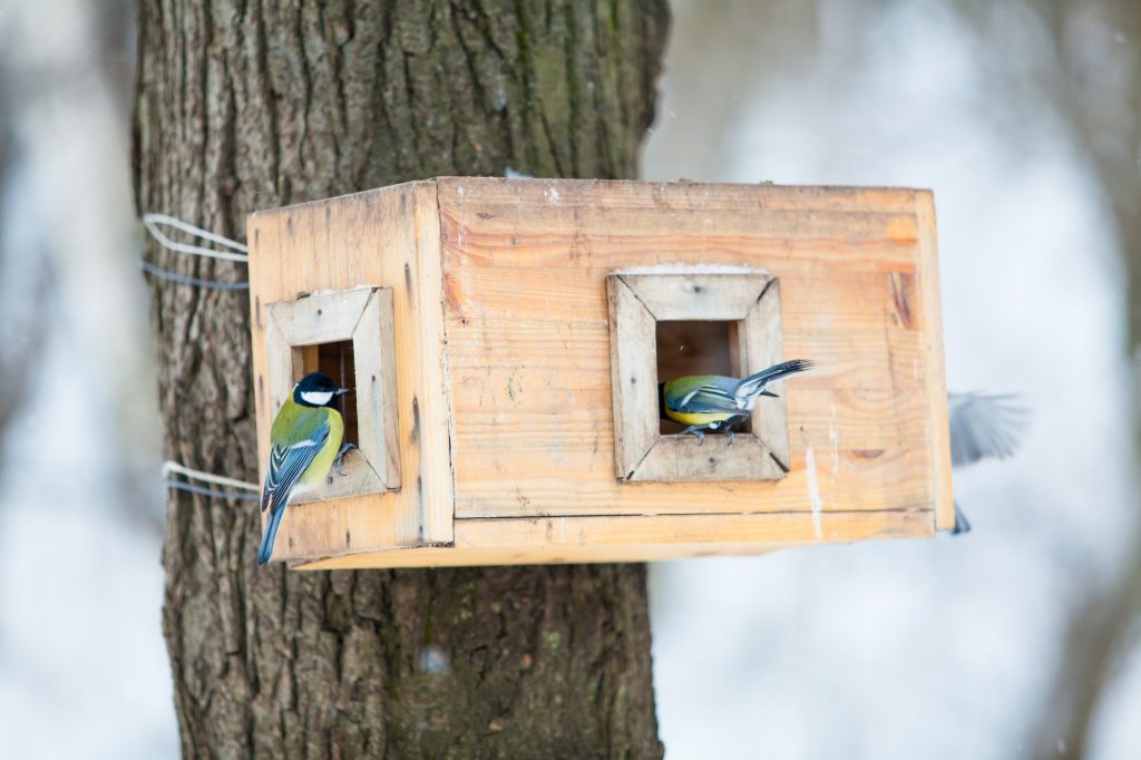bird feeders. tree house for the birds. Bird feeder in winter p