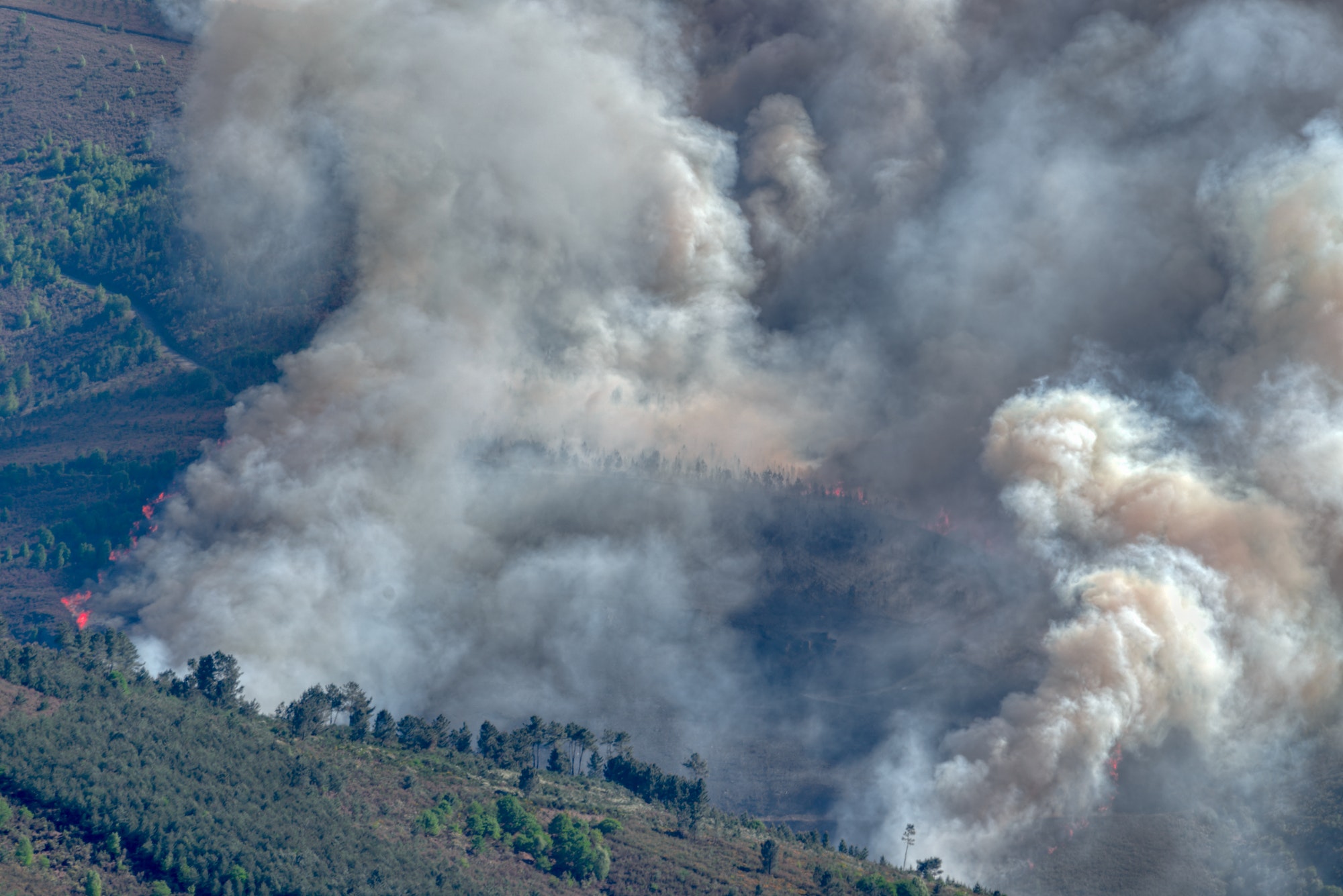 Forest fire in the Courel range