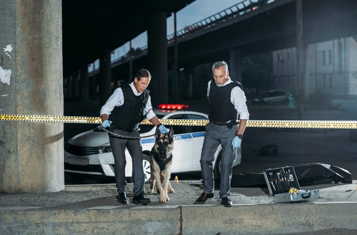 police officers with german shepherd on leash near cross line at crime scene