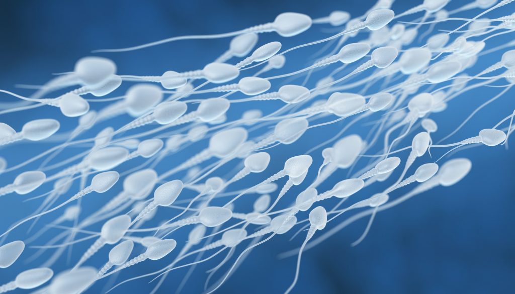 Human sperm flow