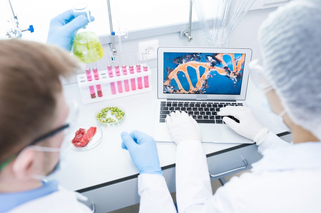 Microbiologists studying DNA of food samples