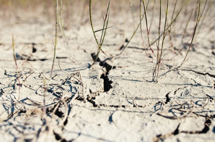 Drought Problem. Cracks On Dry Ground