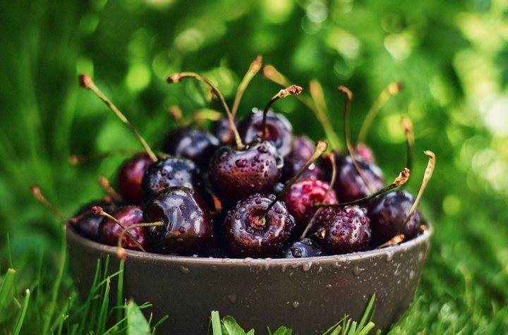 Bowl with wet cherries on grass