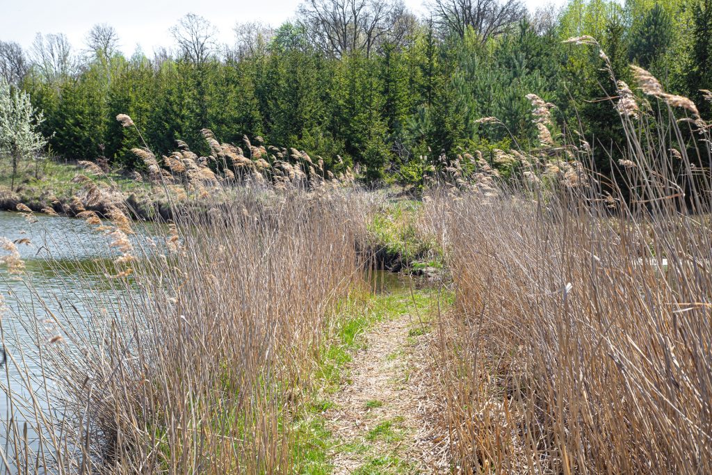 Moorlandschaft bei Sonnenschein