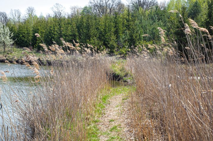 Moorlandschaft bei Sonnenschein
