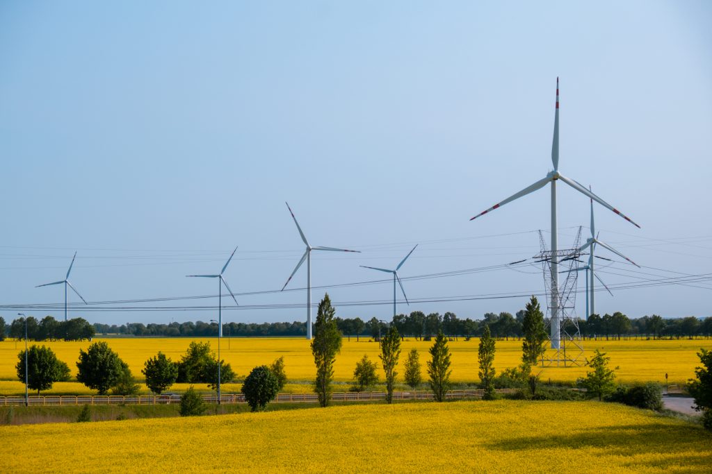 Wind turbine on grassy yellow field against cloudy blue sky in rural area during sunset. Offshore windmill park with stormy clouds in farmland Poland Europe. Wind power plant generating electricity. Renewable green clean energy. Sustainable living